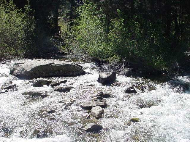 DSC00031.JPG